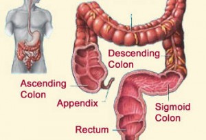 clistere enteroclisma pulizia colon intestino simona vignali