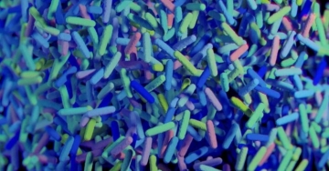 Microbiota o flora batterica intestinale