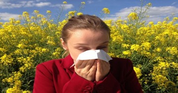 Ecco i cibi da evitare per chi soffre di allergie ai pollini