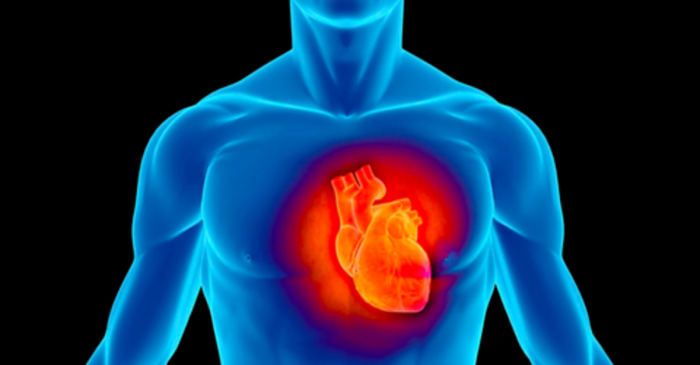 Il collegamento tra fritti e infarto dimostrato dalla scienza
